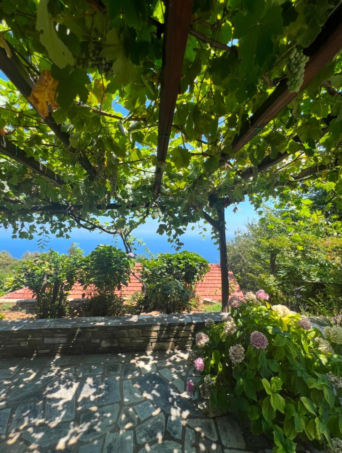 Om Living Pelion Appartement Áyios Dhimítrios Buitenkant foto